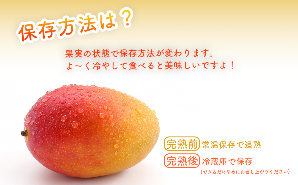 ハナトフルーツ 沖縄県産 訳ありマンゴー２ｋｇ【先行予約 2026年発送 】