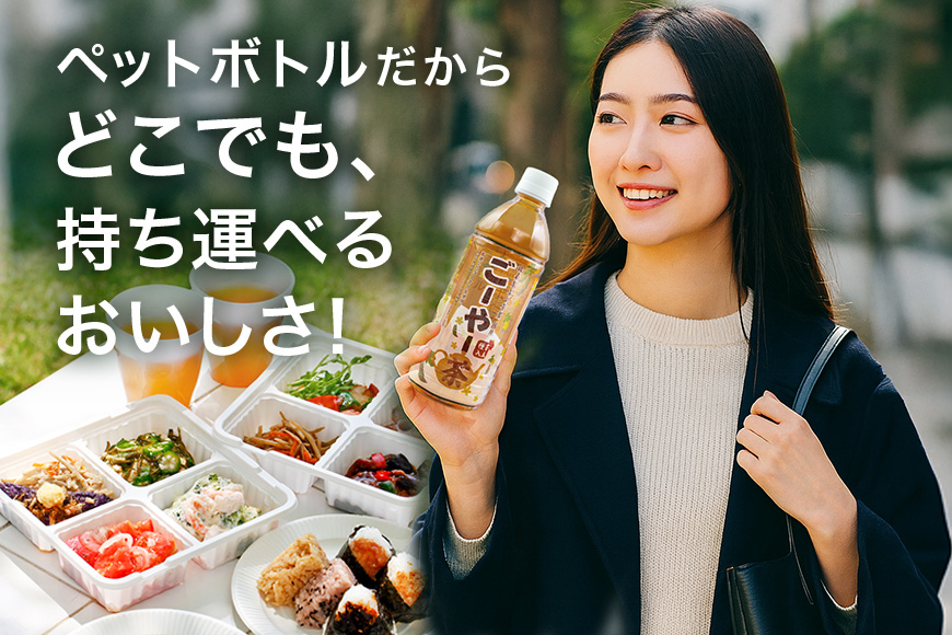 琉球ビバレッジ ごーやー茶 お茶 ゴーヤ にがうり すっきり 健康茶