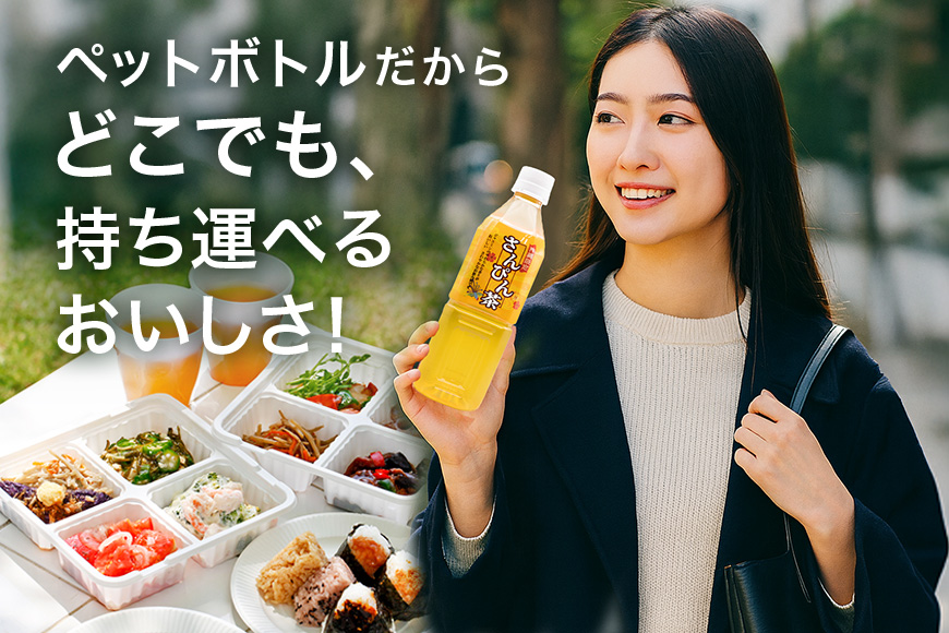 琉球ビバレッジ さんぴん茶角ボトル 500ml×24本