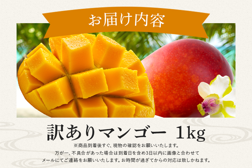 訳ありマンゴー 1kg 【 先行予約 2026年発送 】