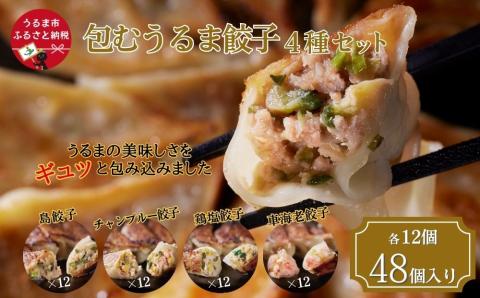 包むうるま餃子 4種セット（島餃子・鶏塩餃子・チャンプルー餃子・車海老餃子）