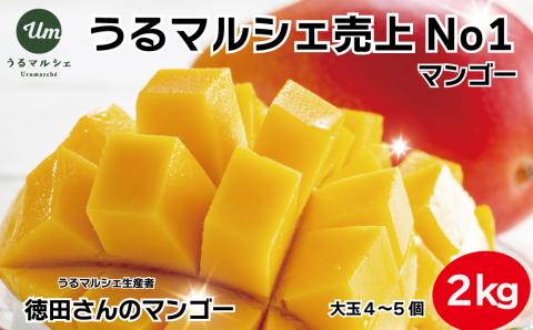 【ふるさと納税】徳田さんの最高級贈答用マンゴー　大玉4〜5個　【 先行予約 2026年発送 】　贈答用　最高級　美しい　美味　沖縄県産　アップルマンゴー