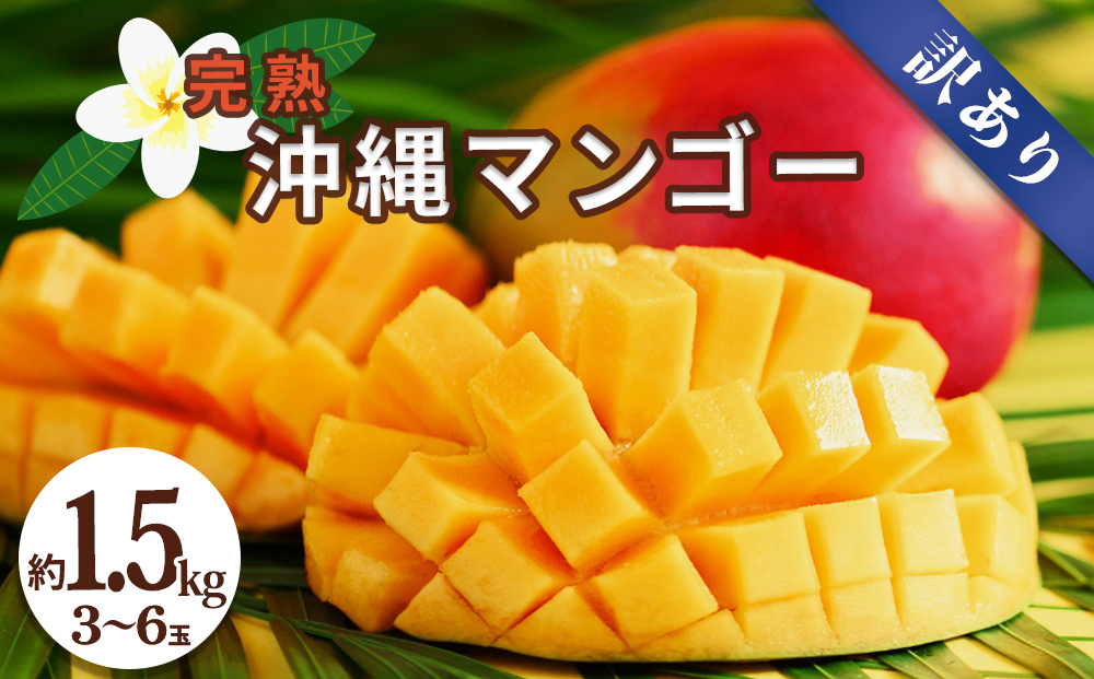 沖縄県産 訳ありマンゴー 1.5kg【 先行予約 2026年発送 】マンゴー 濃厚 甘い ジューシー 南国 フルーツ 果物 産地直送 訳あり 国産 お取り寄せ 沖縄 うるま市