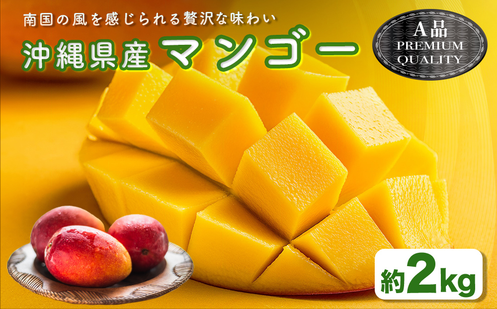 ハナトフルーツ 沖縄県産マンゴーA品 ２ｋｇ 【先行予約 2026年発送 】