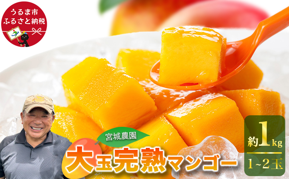 宮城農園の完熟マンゴー　約1kg（1~2玉）【 先行予約 2026年発送 】