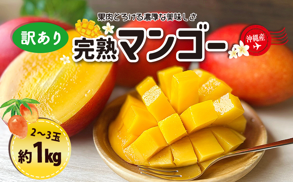 訳ありマンゴー１kg【熱帯資源植物研究所】