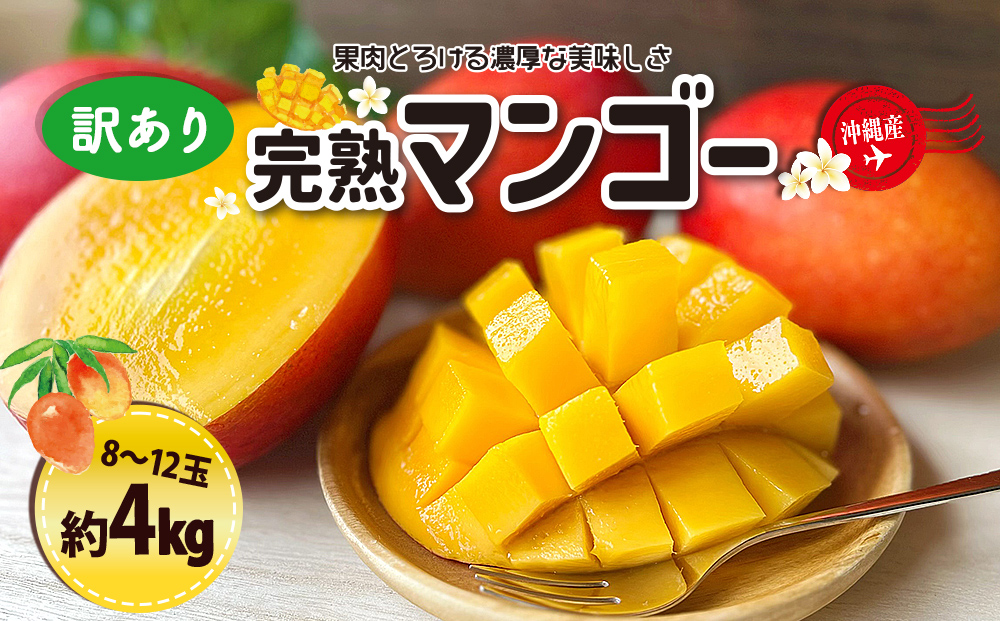 訳ありマンゴー４kg【熱帯資源植物研究所】