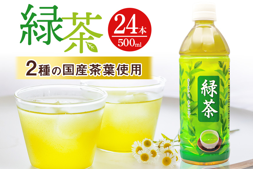 琉球ビバレッジ 緑茶500ml×24本