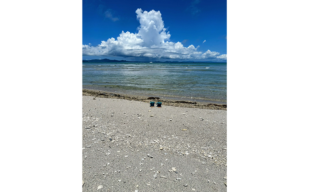 うるま陶器『ペアマグカップ（スプーン付）』