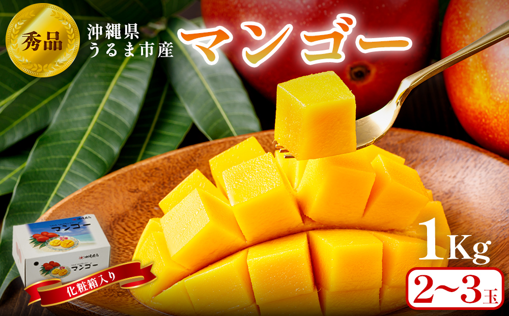 沖縄県 うるま市産 完熟 マンゴー 秀品 約1kg【2026年発送】
