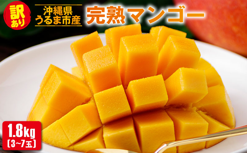 沖縄県 うるま市産 完熟 マンゴー 訳あり品 1.8kg【2026年発送】