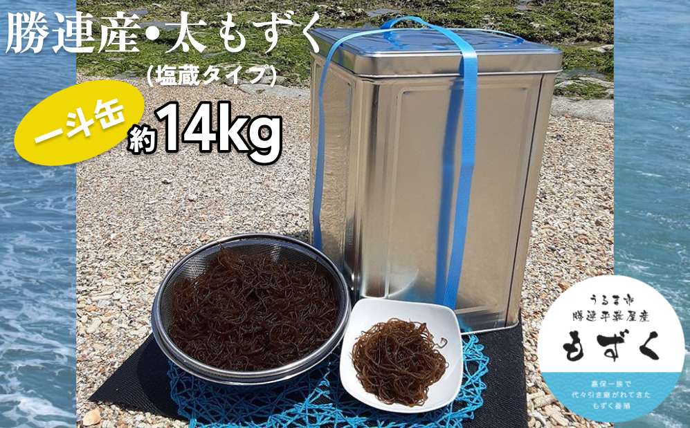 【嘉保水産】勝連産・太もずく（塩蔵タイプ）　約14kg一斗缶入り【嘉保水産】
