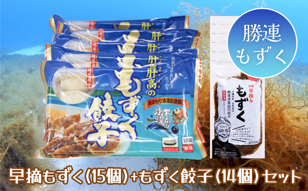早摘みもずく（15袋）＆もずく餃子（12個入×14袋）セット【勝連漁業協同組合】