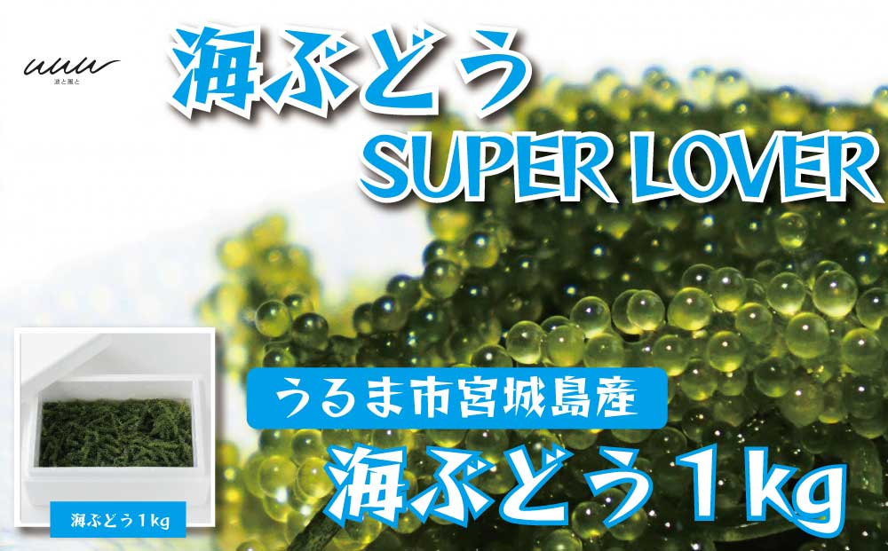 海ぶどうSuperLover　大容量1kgパック【2026年4月より順次発送】