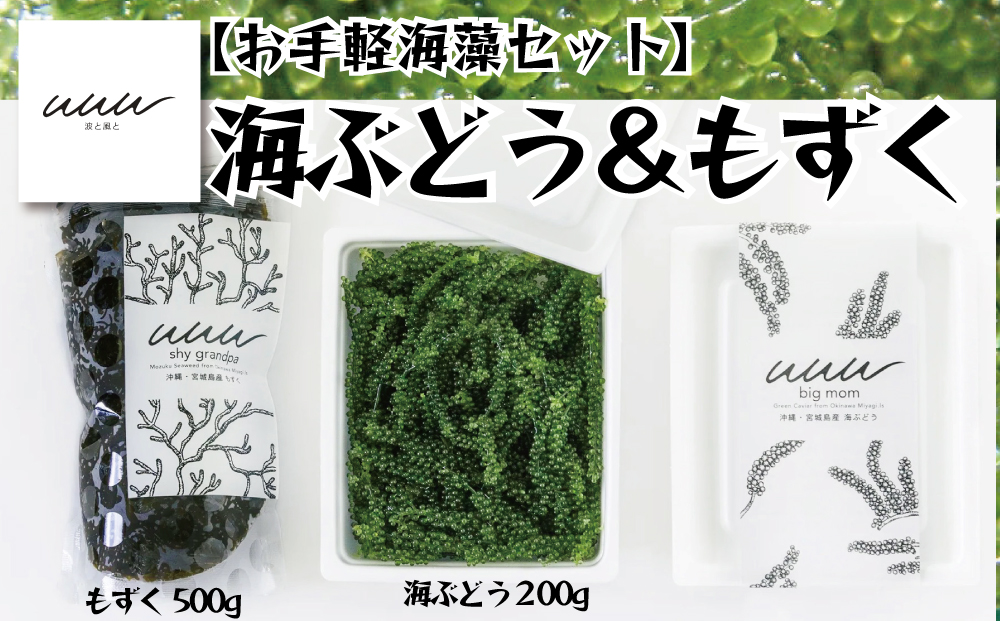 【お手軽沖縄海藻セット】海ぶどう（200g）＆もずく（500g）【2026年4月より順次発送】