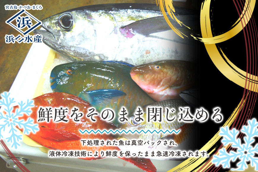 AD117 ＜浜口水産＞『 マグロ入り！魚屋の天ぷらセット』魚屋ならではの「かつお出汁」入り！｜マグロ 鮪 天ぷら 簡単調理 おかず セット 沖縄県 宮古島市 伊良部島 人気 おすすめ 送料無料
