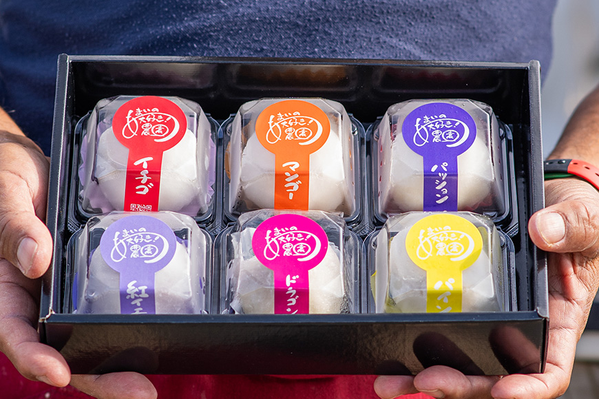 HY001　たいらさん家のふる～つ大福