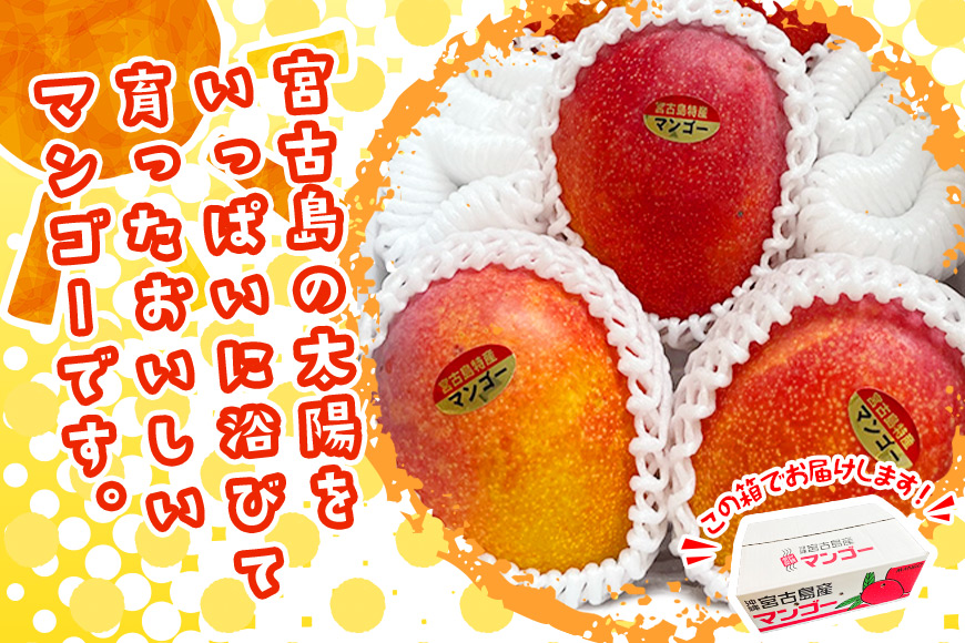 JH002《先行予約 2026年発送》宮古島産マンゴー２㎏【㈱フラモン】