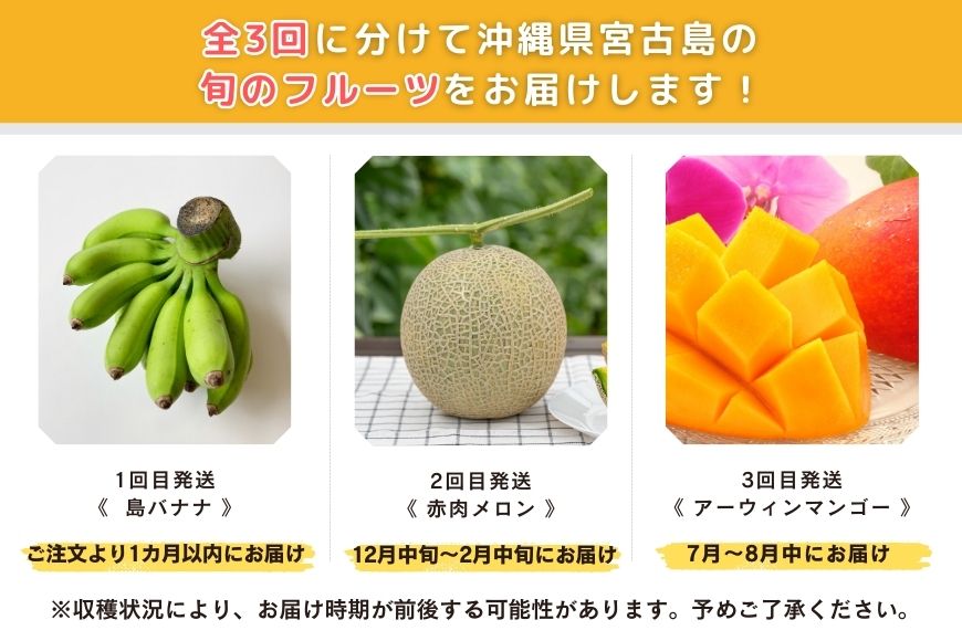 JH023　宮古島 旬の南国フルーツ 定期便【(株)フラモン】