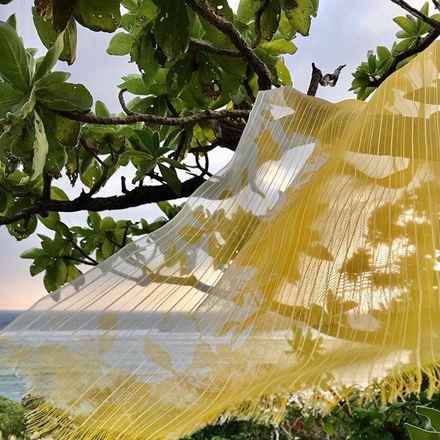 AY103　黄金色のショール　福木染め　南国 沖縄 離島 宮古島 ショール 黄金色 福木染め フクギ 正絹 手染め