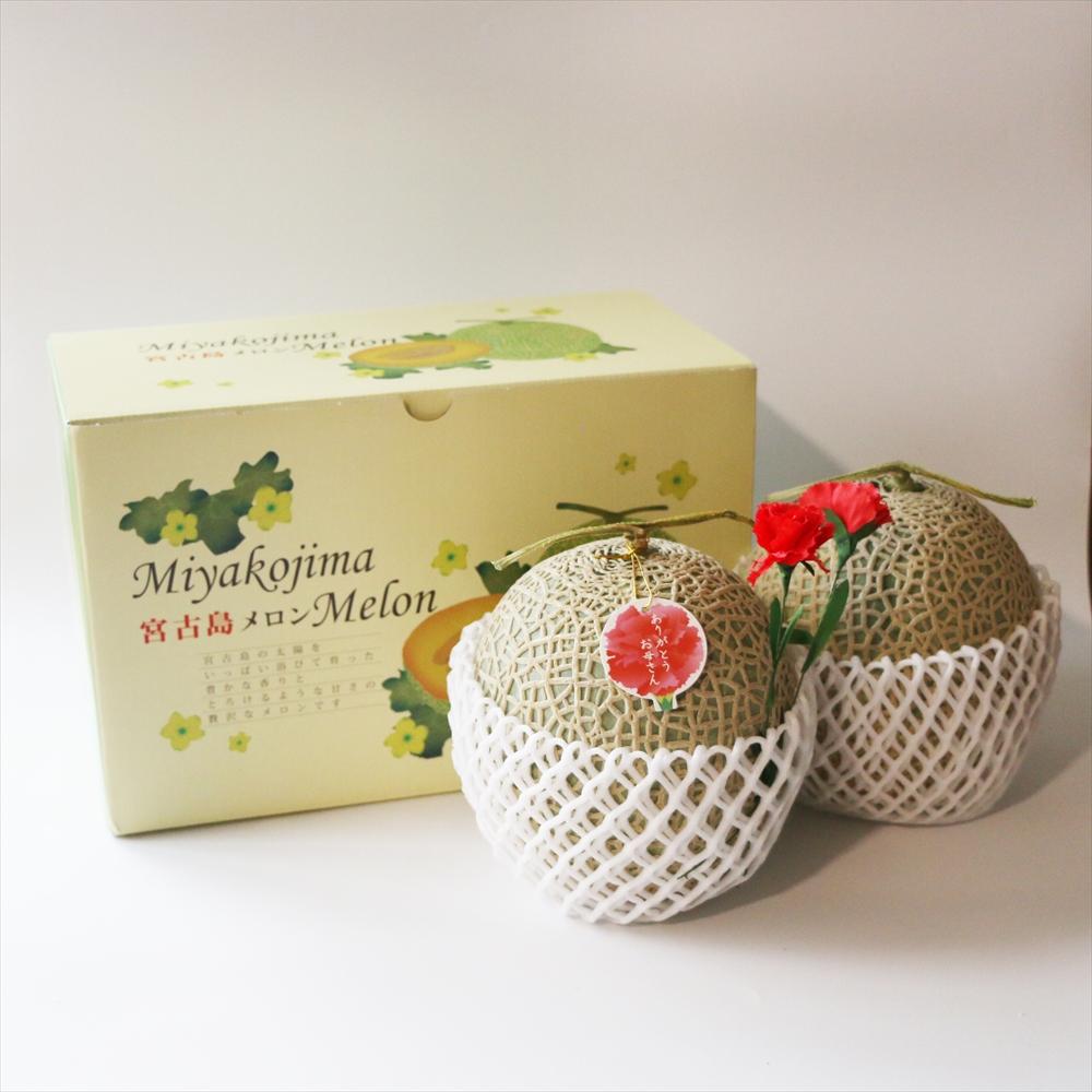 母の日ギフト 母の日メロン【大玉２玉】｜沖縄県宮古島産（琉球マルシェ）