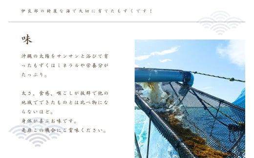 養殖もずく　5個セット（FU002）沖縄 宮古島 ふるさと納税 おすすめ 人気 もずく モズク 海藻 ミネラル 海 食