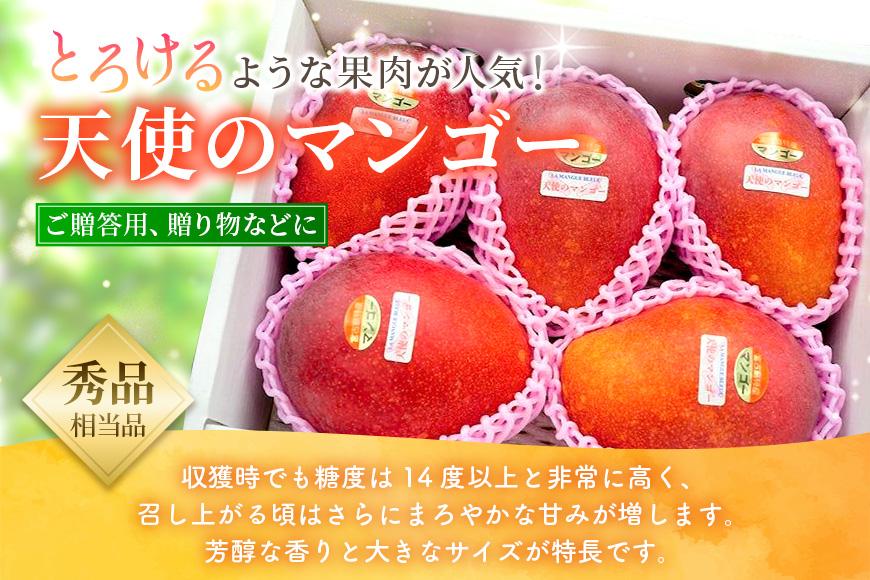 《先行予約2026年発送》『天使のマンゴー』宮古島産アーウィンマンゴー 2kg（4〜6玉）【ご贈答用】「LA MANGUE BLEUE」農家直送（GZ006）