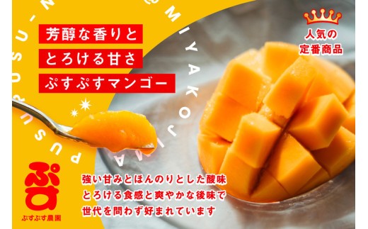 【ぷすぷす農園】＜2026年発送先行予約＞宮古島産完熟マンゴー(家庭用／1キロ／農園直送)（KY001）