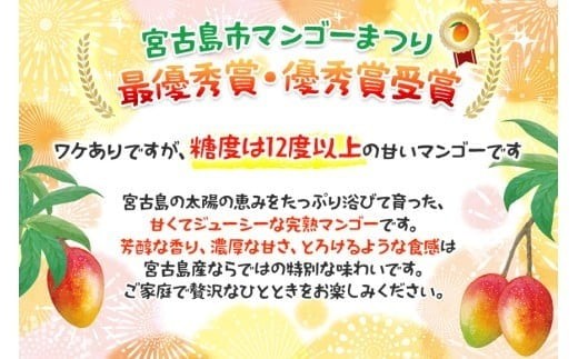 ＜2026年夏発送＞ 宮古島産樹上完熟マンゴー（訳あり/ご家庭用）1kg（2～3玉）グットクロップ宮古島（SG004）