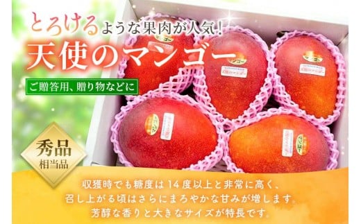 《先行予約 2026年発送》『天使のマンゴー』宮古島産アーウィンマンゴー 約800g （2玉）【ご贈答用】「LA MANGUE BLEUE」農家直送（GZ002）