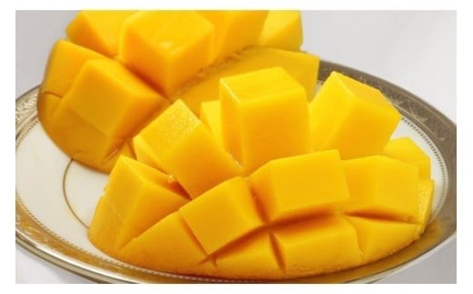 CZ014《先行予約2026年発送》【宮縁果樹園】宮古島産　奇跡のマンゴー　4kg　お手頃