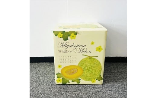 【琉球マルシェ】毎年大好評！沖縄県宮古島産 冬メロン（大玉１玉）贈答用 冬のギフト