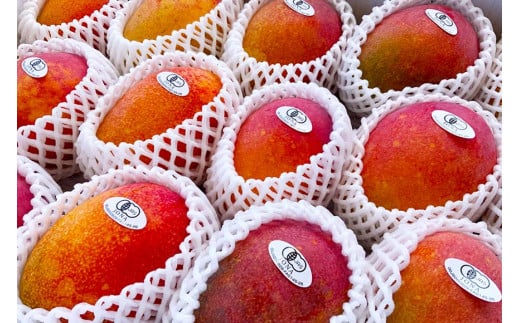 DQ018《先行予約》2026年発送 有機JAS認証マンゴー（アーウィン）ご自宅用 2kg【楽園の果実】