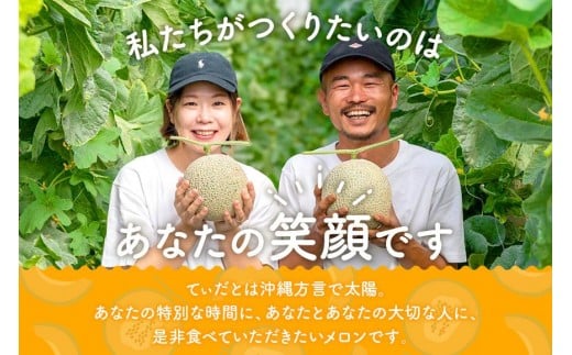 【メロン定期便】宮古島産てぃだメロン 2玉《2025年冬・2026年春発送》＜8farm＞（JC002）