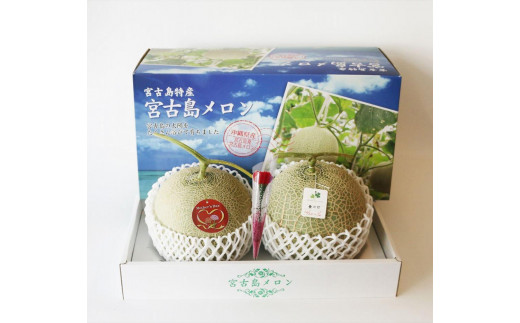 母の日ギフト 母の日メロン【大玉２玉】｜沖縄県宮古島産（琉球マルシェ）