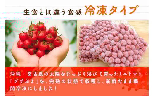 宮古島産ミニトマト【プチぷよ】冷凍　1kg（PN04）