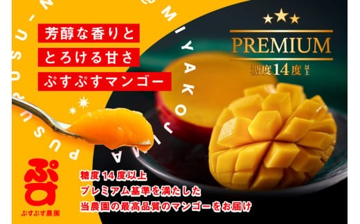 【ぷすぷす農園】＜2026年発送先行予約＞宮古島産完熟マンゴープレミアム（贈答用／2キロ／農園直送）(KY004)