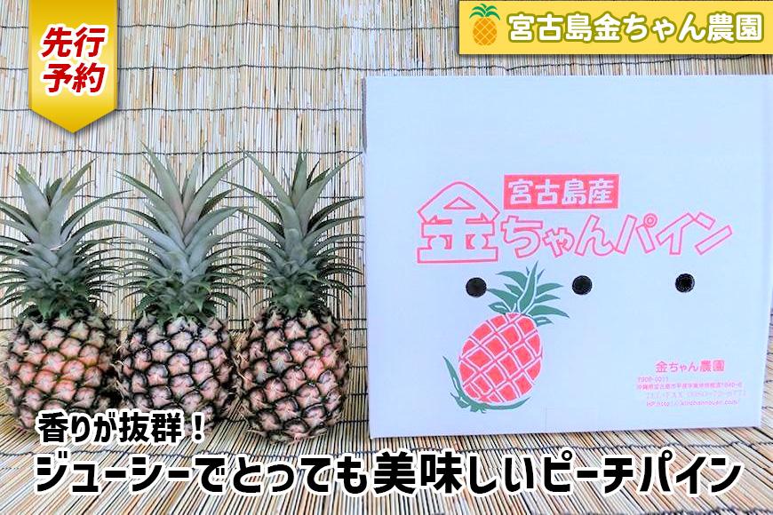 《先行予約》【2026年発送】宮古島産ピーチパイン 2kg（3～4個）セット《金ちゃん農園》（AK107）