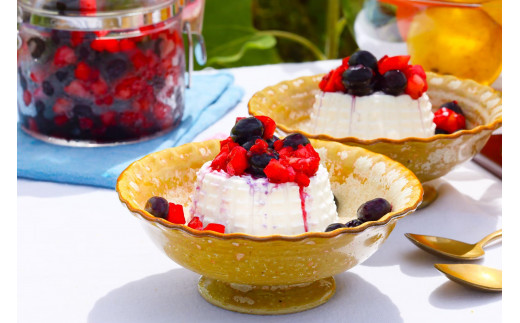 【Early Remix】チーズ3種セット|リコッタチーズ モッツァレラチーズ スカモルツァ（CJ08）