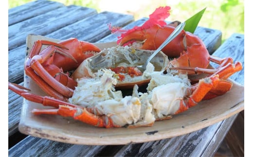 メディア出演多数！伊良部島産蟹蔵ブランドマングローブ蟹（調理済み）