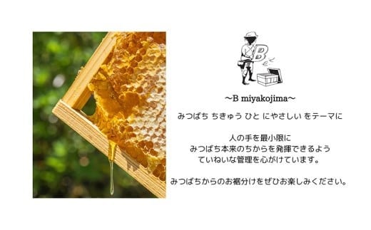 【早期受付】2026年発送『宮古島産はちみつ』（500g）（HJ005）