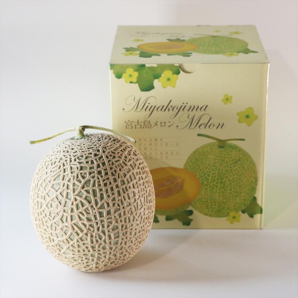 沖縄・宮古島 春メロン【１玉】｜贈答用・高級果物・赤肉メロン（琉球マルシェ）