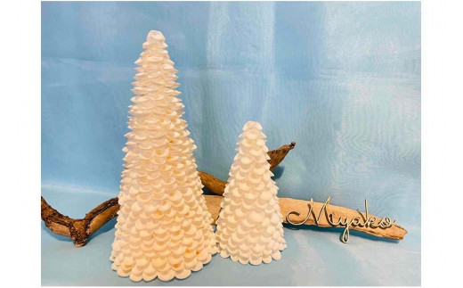 シェルツリーセット【A】