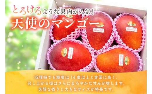 GZ003《先行予約2026年発送》宮古島産アーウィンマンゴー 約2kg（5～7個）【ご自宅用】「LA MANGUE BLEUE」農家直送