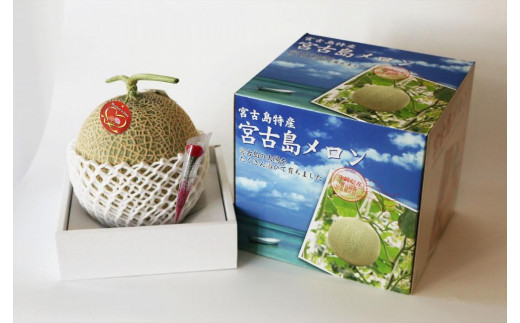 母の日ギフト 母の日メロン【特大１玉】｜沖縄・宮古島産（琉球マルシェ）