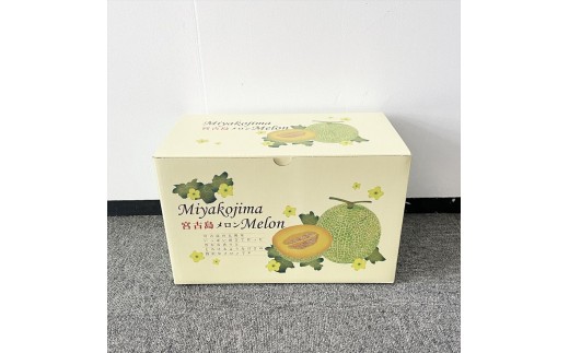 【琉球マルシェ】毎年大好評！沖縄県宮古島産 冬メロン（大玉２玉）贈答用 冬のギフト