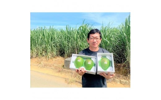 《先行予約 2026年発送》 『天使のマンゴー』宮古島産キーツマンゴー 約800g（1玉）ご贈答用「LA MANGUE BLEUE」農家直送（GZ005）