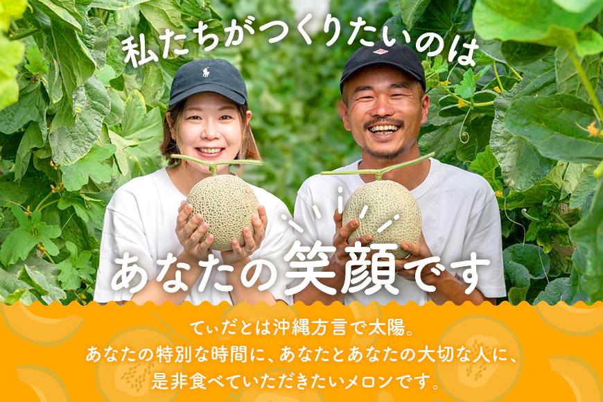 【メロン定期便】宮古島産てぃだメロン 2玉《2025年冬・2026年春発送》＜8farm＞（JC002）