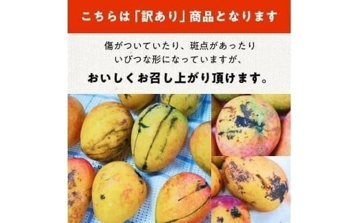 《先行予約》2026年発送【楽園の果実】有機JAS認証マンゴー（アーウィン）わけあり1キロ（DQ020)