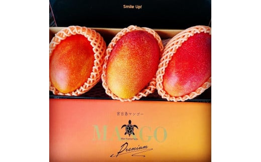 《先行予約》2026年発送【ブルータートルファーム】宮古島完熟マンゴー 【贈答】 (２kg)（DC008）